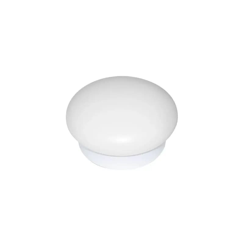 APLIQUE MUSHROOM